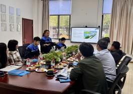 Colabora&ccedil;&atilde;o1 